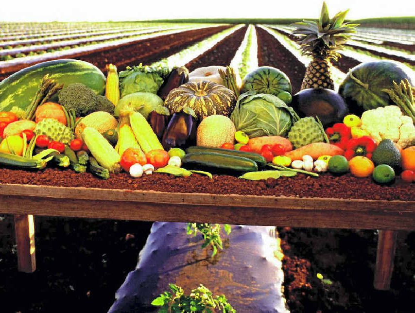 LOCAL IS BEST: The Bundaberg Region has so much to offer. LOCAL IS BEST: The Bundaberg Region has so much to offer.